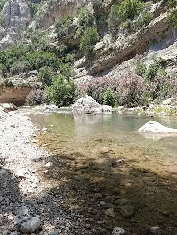 Photo de Keşbükü Irmağı Piknik Alanı