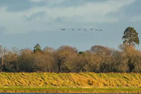 Photo de RSPB Wallasea Island