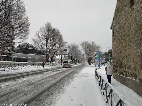 Photo de Paseo de la Alameda