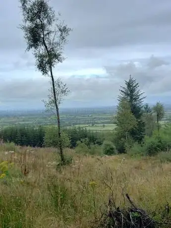 Photo de Ballinaboola Forest Recreation Area