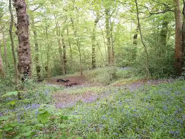 Photo de Brotherton Park and Dibbinsdale Local Nature Reserve