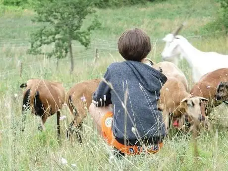 Foto de La Ferme des Lutins