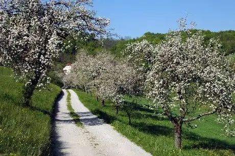 Photo de Kozjanski park