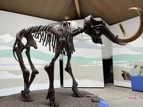 Photo of Musée d'histoire naturelle et des mammouths du sud-est de la Bavière à Siegsdorf