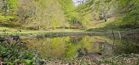 Photo de Fossa Delle Nevi