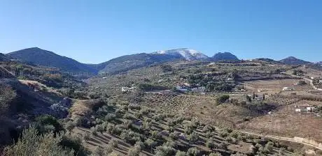 Photo de Paraje Natural Santa Ana