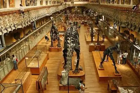 Photo de Galerie de Paléontologie et d’Anatomie comparée