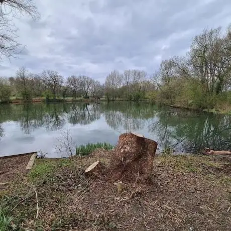 Photo de Pioneer Meadows Nature Reserve