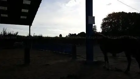 Photo de Blue Equitation