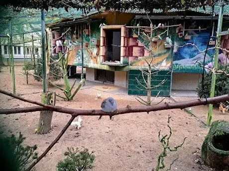 Photo of Vogelvoliere