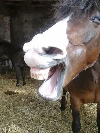 Photo de centre equestre de dhuisy