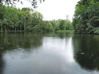 Photo de Parc Jean-Pierre DELEURY (ex. Parc de La Brayelle)