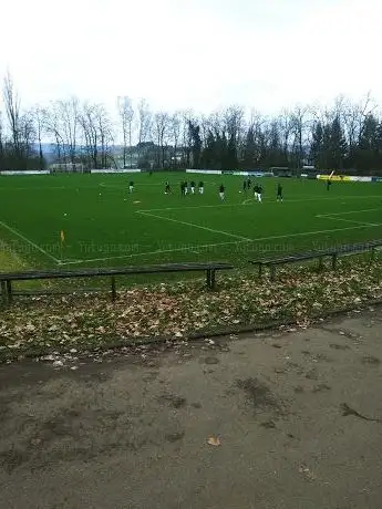 Photo de Sportplatz Steinbach
