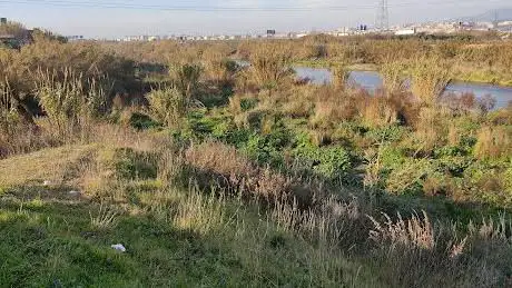 Photo de Parc Fluvial Sant Vicenç dels Horts Sud