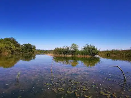 Photo de Oasi wwf lago di Alviano