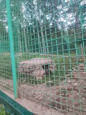 Photo de حديقة دب Bear Garden