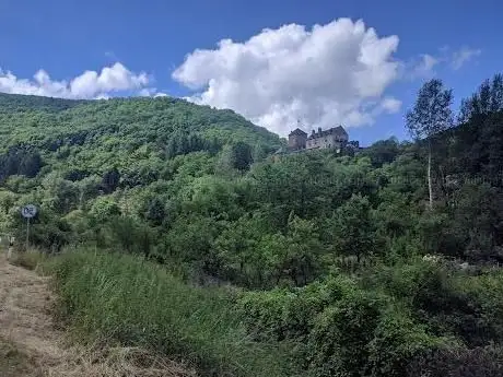 Photo de Burg Treis
