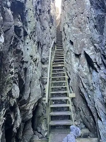 Photo de Dyröleden