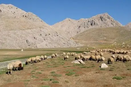 Photo de Gömbe Yaylası
