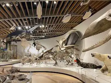 Photo de Zoological Museum