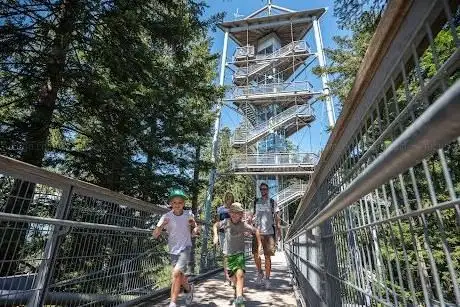 Photo de Waldwelt Skywalk Allgäu