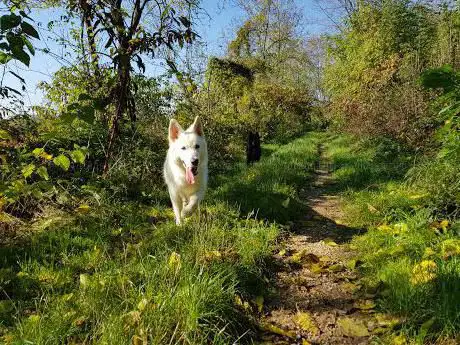 Photo de Truc Monsagnasco