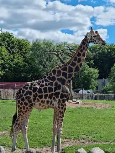 Photo of Aalborg Zoo