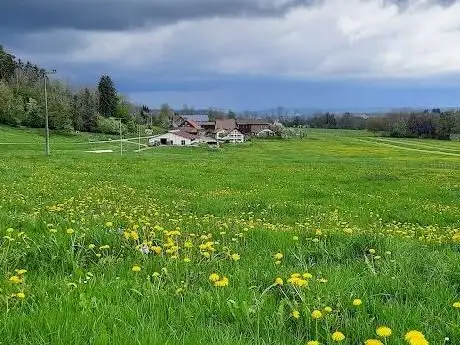 Photo de Bauernhof Dieing Isny