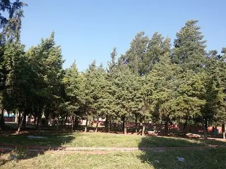 Photo de Child park
