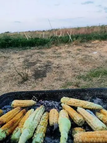 Photo de Hacıköy