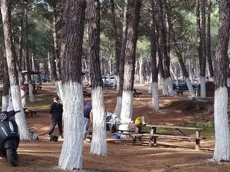 Photo de Bıçakçılar Park Orman Tesisleri 1968 ' den beri