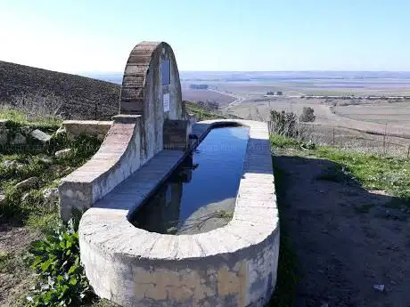 Photo de Pilar De Mealargo
