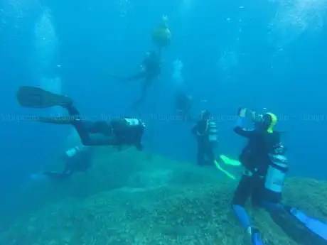 Photo de Aquodiving Tremiti