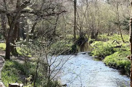 Photo de Sanquhar Woodlands