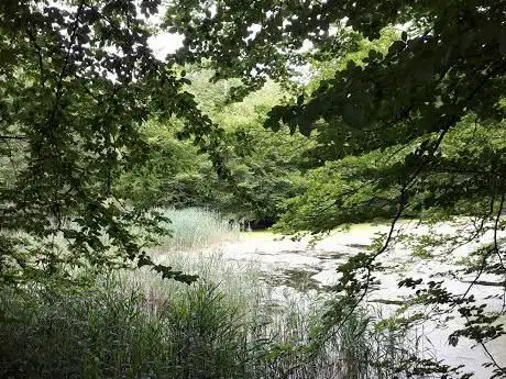 Photo de Sentier des Endymions