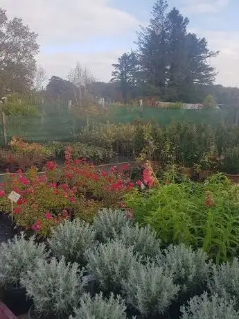 Photo de Horgan's Nurseries