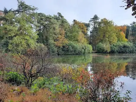 Photo de De Uitlegger