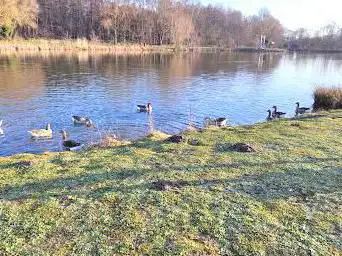 Photo de Parc Loisirs et Nature de La Porte du Hainaut