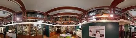 Photo de Grant Museum of Zoology