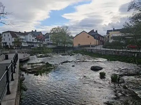 Photo de Gustav II Adolfs park