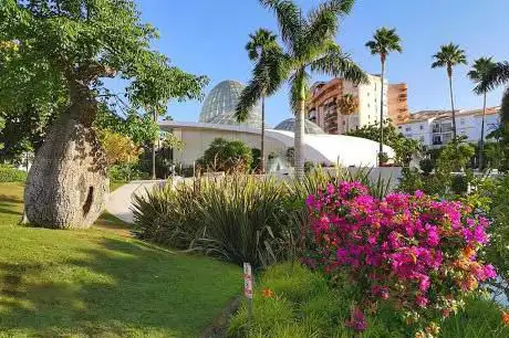 Photo de Jardines de Carmen Thyssen