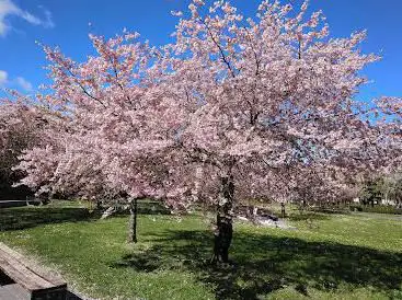 Photo de Parque Alai Txoko