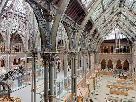 Photo of Pitt Rivers Museum