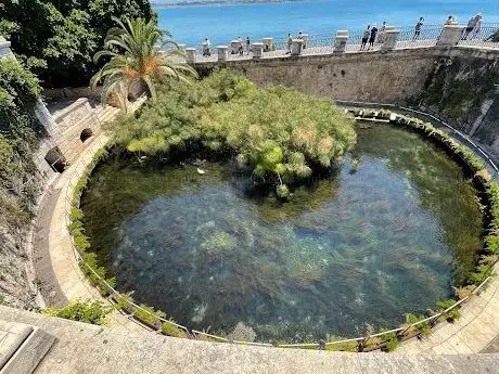 Photo de Arethusa Spring