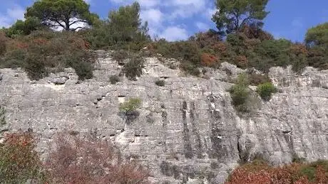 Photo de Rovinj Climbing Location