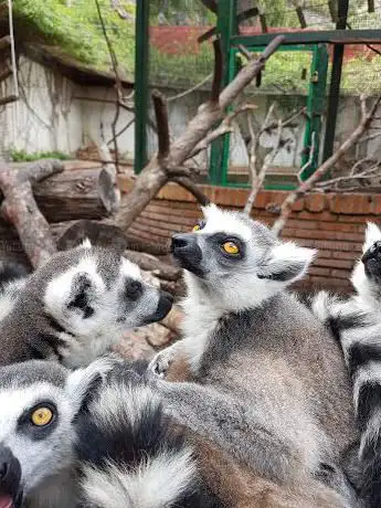 Photo de Loro Sexi Ornithological Park
