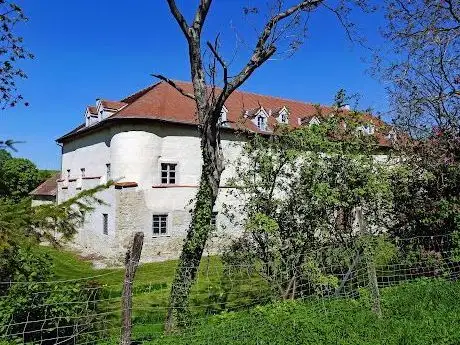 Photo de Schloss Gross
