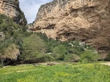 Photo de Central Mediterranean Regional Directorate of Customs and Trade Memorial Forest