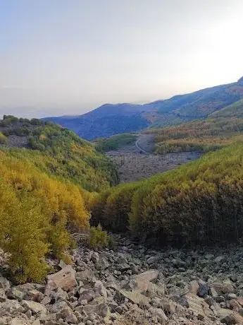 Photo de Middle of Forests
