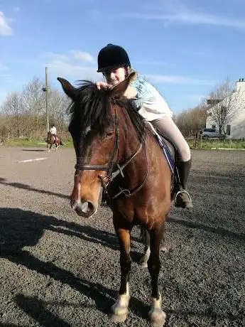 Dalways Bawn Equestrian